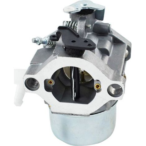Carburateur 699831 694941 pour carburateur 286702 286707 289702