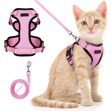 Harnais pour chat avec laisse, harnais pour chat, ensemble harnais et laisse pour chat, gilet anti-fugue ajustable pour chatons, veste en maille douce et respirante facile à utiliser XS (1/5)