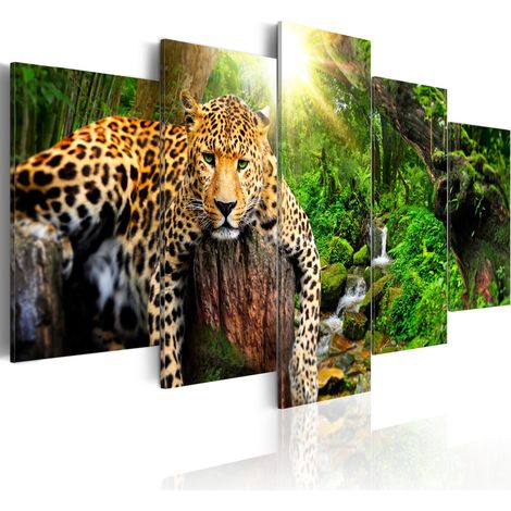 Quadro - Predator's Relaxation - 200x100 (1/4)