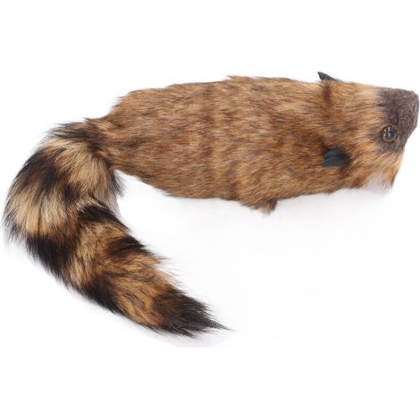 Peluche Raton Laveur Réaliste - Jouet Doux pour Spectacles et Décoration d'Intérieur (1/5)