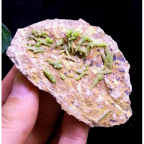 Pyromorphite Verte de 66 mm sur spécimen de Matrice Chine 2348 Collections de la Maison (1/5)
