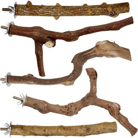 Natural Perches for Birds, Wild Grape Wood Perches, Wooden Parrots, Bird Toys, Feet Ladders (1/5)