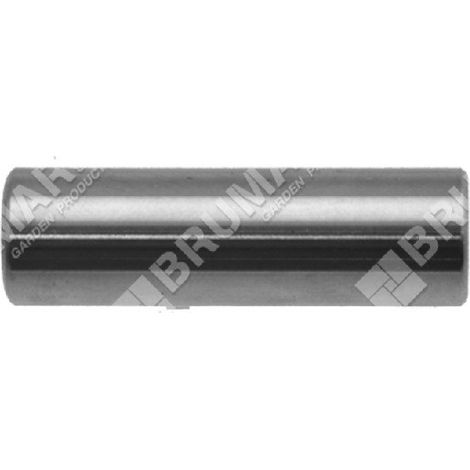 Kolbenbolzendurchmesser 10 mm für PROGREEN-Freischneider – 030773