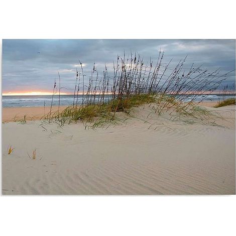 Tableau la mer des dunes - 80 x 60 cm (1/5)