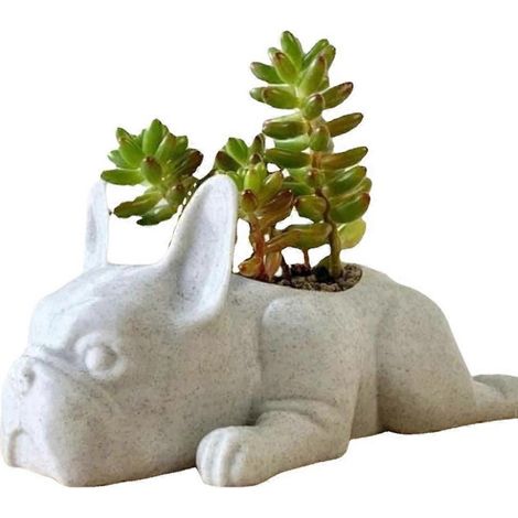 Pots de fleurs succulentes, décoration de jardin, en forme de bouledogue français, bonsaï (1/4)