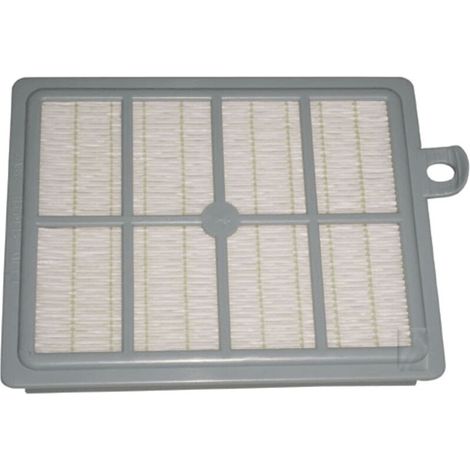 Filtre à air hepa FC8031 (option) MARATHON (36834-44151) (432200492920, 432200492925) Aspirateur PHILIPS (1/3)