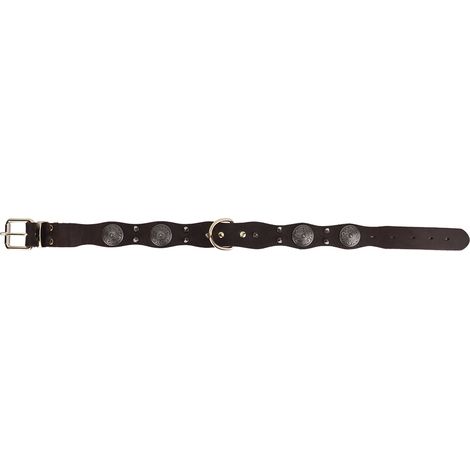 Collier Pour Chien - Cuir Synthétique Réglable avec Picots - Convient Chiens Moyens et Grands - Taille XL (1/5)