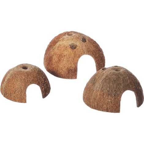 Lot de 3 Cachettes en Noix de Coco, Matériau Naturel, Pour Reptiles et Rongeurs, Terrarium et Aquarium (1/4)