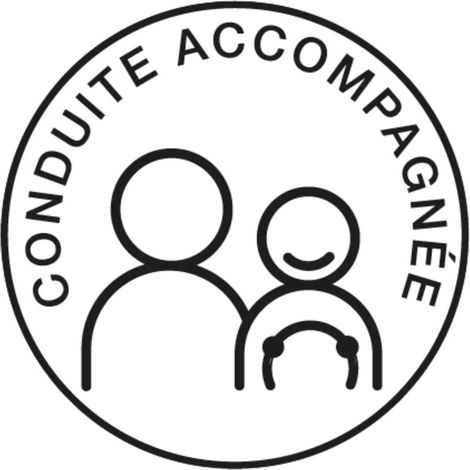 Disque Electrostatique Conduite Accompagnee (1/5)