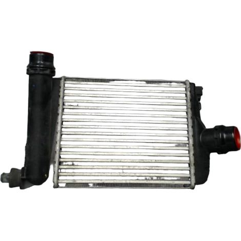 Radiateur Huile DACIA Duster [PRODUIT D'OCCASION]♻️213052926r