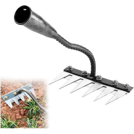 Râteau Jardin - Acier Au Carbone - 6 Dents - Pour Désherbage Et Aération Du Sol - 1 Pièce (1/5)