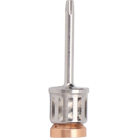 Tournevis Micro pour Implants Dentaires, Acier Inoxydable Professionnel, Outil de Précision pour Pratique, 0,8 pouce (1/5)