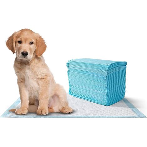 EMPAPADORES PER CANI EMPAPADORES PER ADDESTRAMENTO DELLANIMALE DOMESTICO EMPAPADORES GROSSO CANE PER 15 UNIT