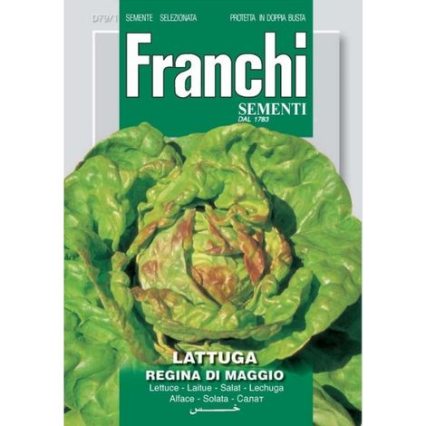 SEMI LATTUGA CAPPUCCIO 79/1 (1/2)