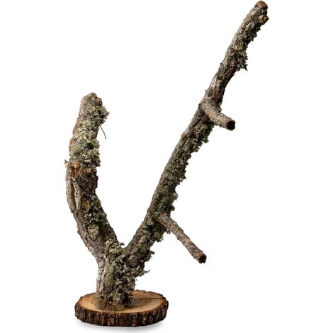 BioBranch Tree 50cm Quercia da sughero (1/5)