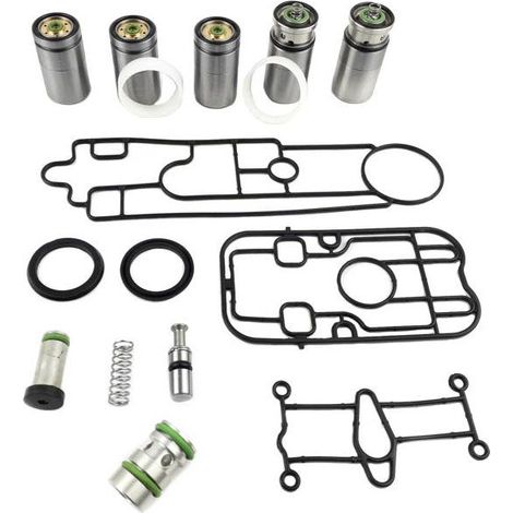 Kit de reparación de caja de cambios MAN TGA TGS TGX  WTZFK.3