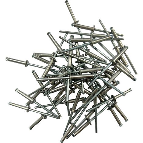 200 rivets eclateurs de 4 x 20 plaques d'immatriculation