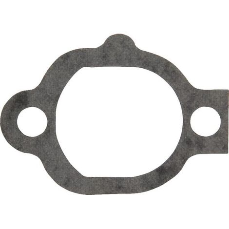 Junta BRIGGS ET STRATTON 272121