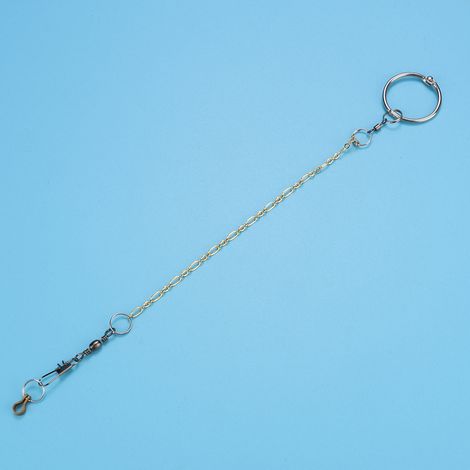 Chaîne de patte et harnais de dressage en acier inoxydable pour perroquets (Nymphicus hollandicus) (1/5)