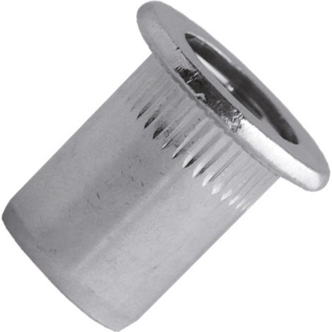 500 gezahnte Stahlmuttern mit Flachkopf bis M5x13mm - SCELL-IT - TCD0530
