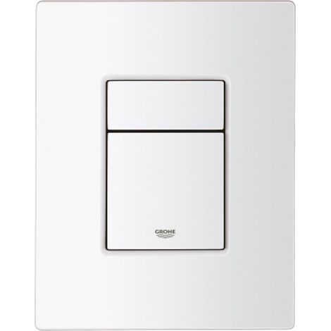Compatible with  flush plate Alpine white 38966SH0 (1/4)
