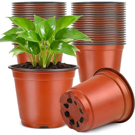 50Pièces 15CM Pot pour Semis,Pot de Fleurs Plastique Plante Exterieur,Pot Rempotage,Godets pour Semis Tomates,Brun (1/5)