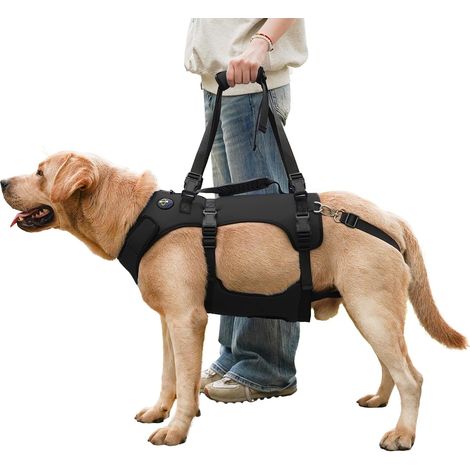 Harnais pour Chien, Gilet de Support Complet et de Récupération, Réglable et Respirant, pour Chiens Âgés, Handicapés, Ayant des Blessures Articulaires, de l’Arthrite ou Paralysés. (Noir, S) (1/5)