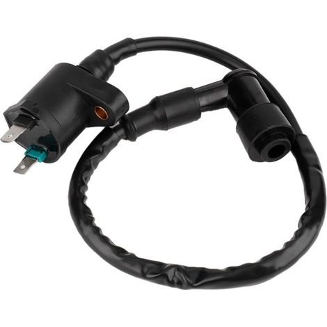 Bobina di accensione GY6125 adatta per motori di motociclette da 50cc, 150cc e 250cc -Crezuo