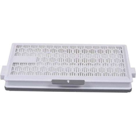 Filtre Air Clean Plus 50 pour aspirateur Miele Complete C3 Powerline S8340, filtre Air Clean SF-HA 50 pour aspirateur Complete C2, C3, Compact C1 et C2 (lot de 2) (1/5)