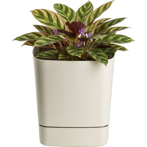 CUBI recycelter beigefarbener Blumentopf mit Untersetzer 25x25 cm