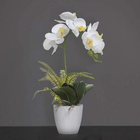 Fleur Artificiel Phalaenopsis à 2 Volets Orchidée en Pot Céramique Bonsaï Décoration Florale de la Maison pour Chambre, Bureau (1/4)