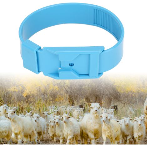 10 colliers de cou pour moutons à vendre, 36 cm bleus, avec étiquettes colorées, pattes et embouts en caoutchouc. (1/5)