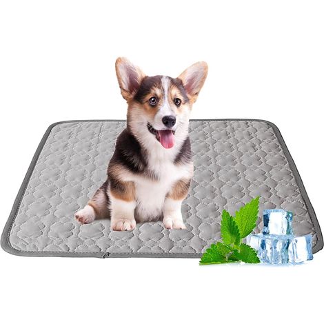 Tapis De Refroidissement Pour Chien - Gel Non Toxique Auto-Refrigerant - Pour Chiens Et Chats - 60 X 40 X 2 Cm - 1 Piece (1/5)