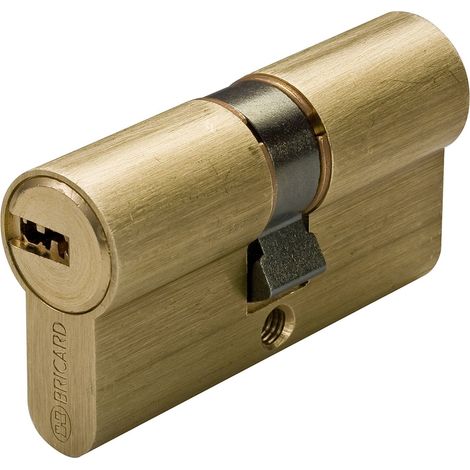 Cylindre de serrure double entrée 30+40 Laiton Jaune