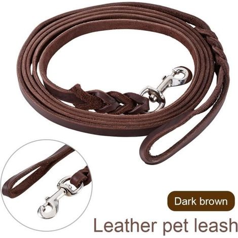 Hundetrainingsleine für Haustiere, strapazierfähige, lange Leder-Spazierleine für große Hunde (1/4)