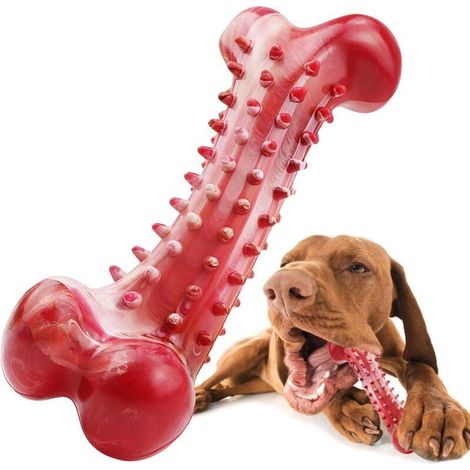 Giocattolo per cani indistruttibile in gomma naturale – efficace per la pulizia dentale di cani di taglia media e grande – confezione da 1