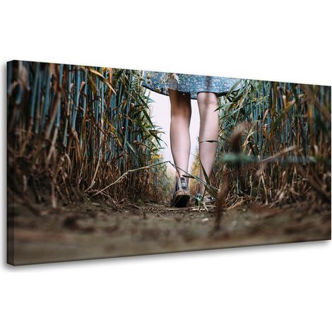 Leinwanddruck Natur Ein Spaziergang auf dem Feld 80x40 cm