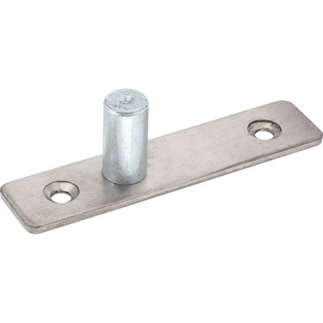 Goupille de charnière de pivot de porte en inox (1/5)