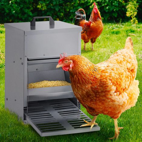 Comedero de pedal para pollos dispensador automático 5 kg control de plagas (1/5)