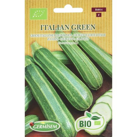 Graines Courgette verte d'Italie ITALIAN GREEN (1/5)