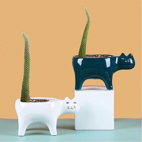 Pots pour plantes succulentes en céramique bicolores en forme de chat, pot de fleurs décoratif en céramique avec drainage (1/5)