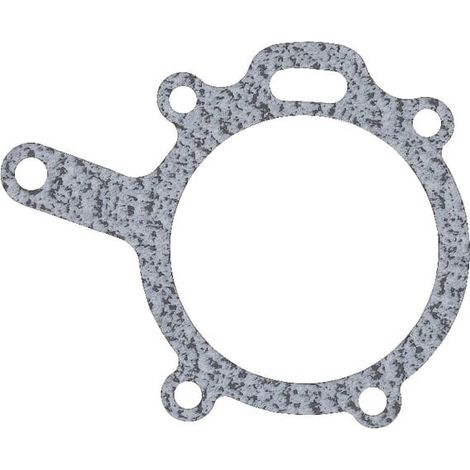 Dichtungen Wasserpumpe MASSEY FERGUSON 4222457M1