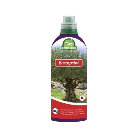 CONCIME LIQUIDO BOROSPRINT KG.1 H16006
