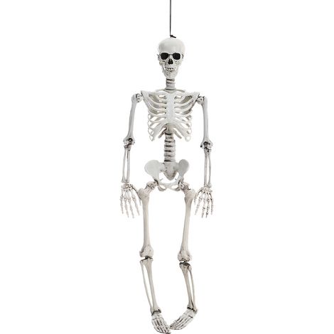 Halloween Realistic Full Body Skeleton Prop Decoration Posable Joints,90CM (1/5)