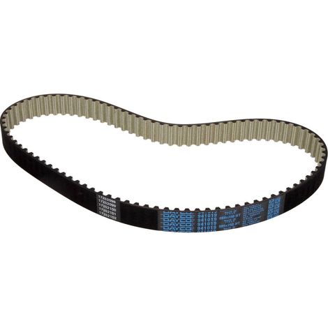 Courroie crantée Dayco 941019 OPEL 4431763 8200461911