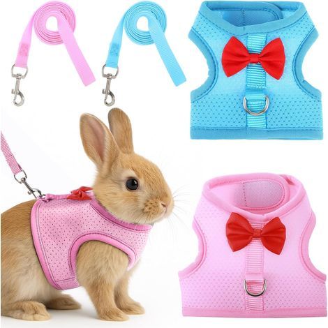 Harnesses, Adjustable Leash, Polyester, Anti-Escape Safety, Small Pet, Outdoor (1/5)
