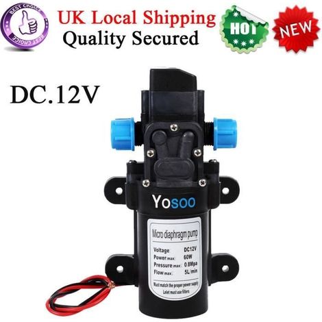 12 V DC 5 l/min 115 psi selbstansaugende Hochdruckwasserpumpe für Autowaschanlagen (1/4)