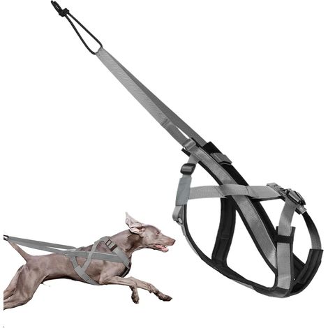 De Traneau pour Chien Harnais Rflchissant pour Grandes (1/5)