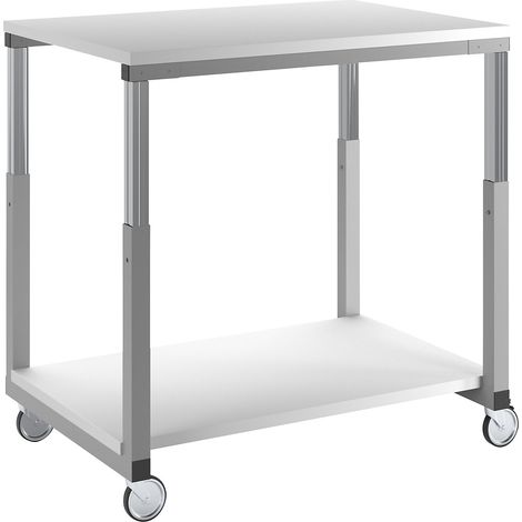 RAU, Chariot à plateaux antistatique, plateau en mélaminé, L x (1/5)