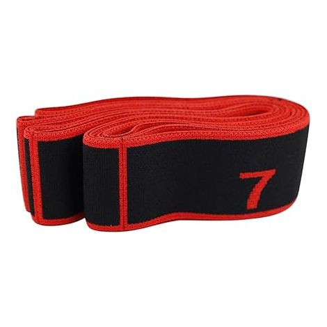 Bande Elastique Musculation, Bande Élastique Fitness 8 Niveaux de Forces Bande de Boucle d'exercice (1/5)